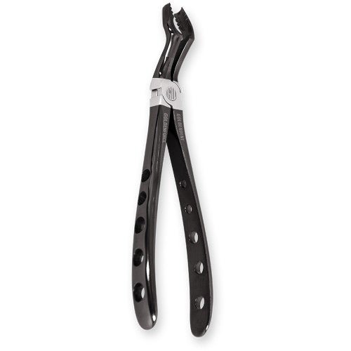 GoldenForce Dental Extraction Instruments - GoldenDent - GoldenDent